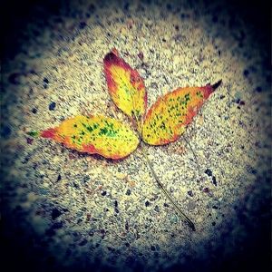 Meet your Posher, Relyn